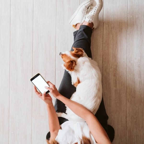 Pet Care Hotline